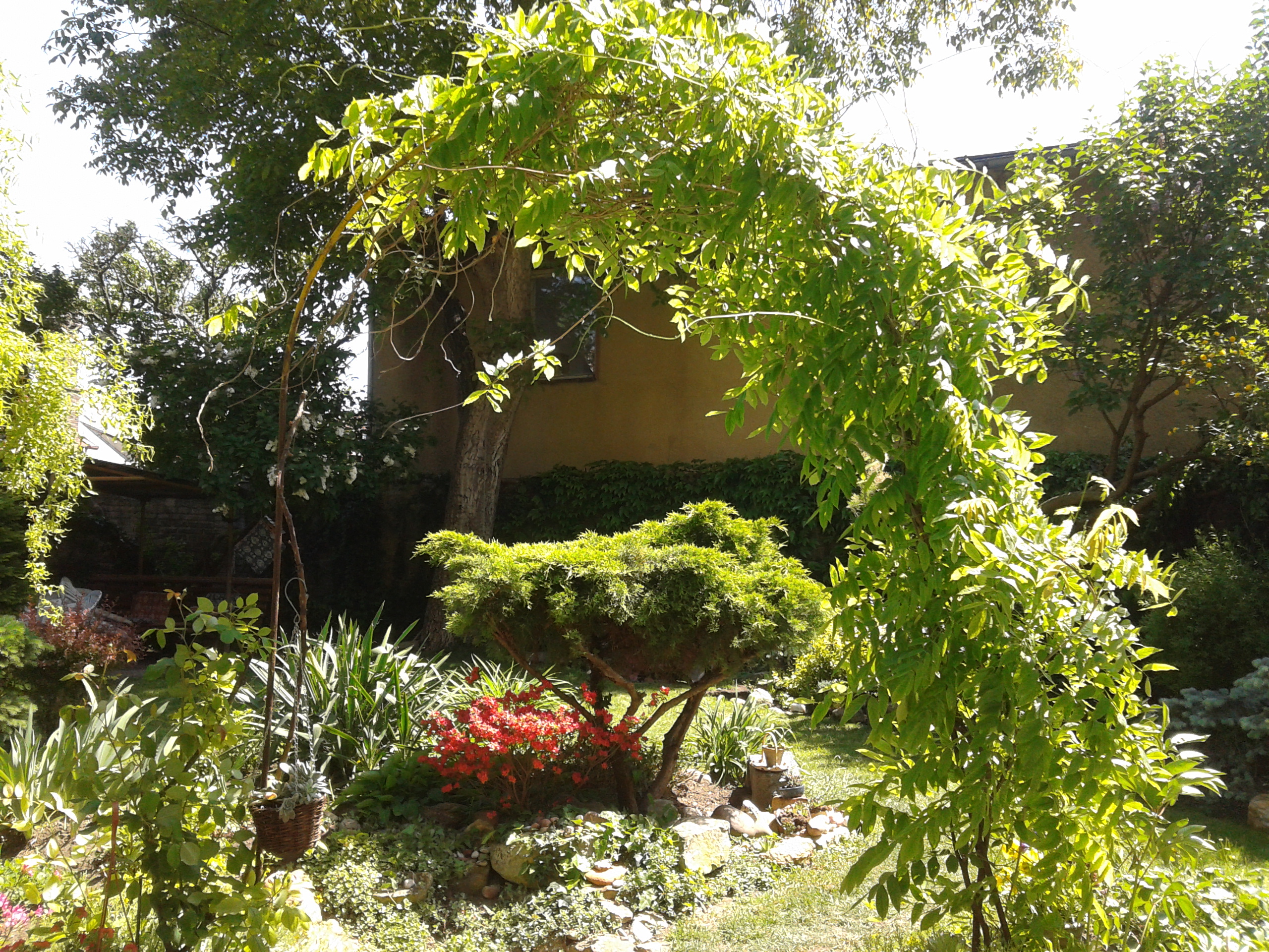 2012-05-20 12.40.06.jpg