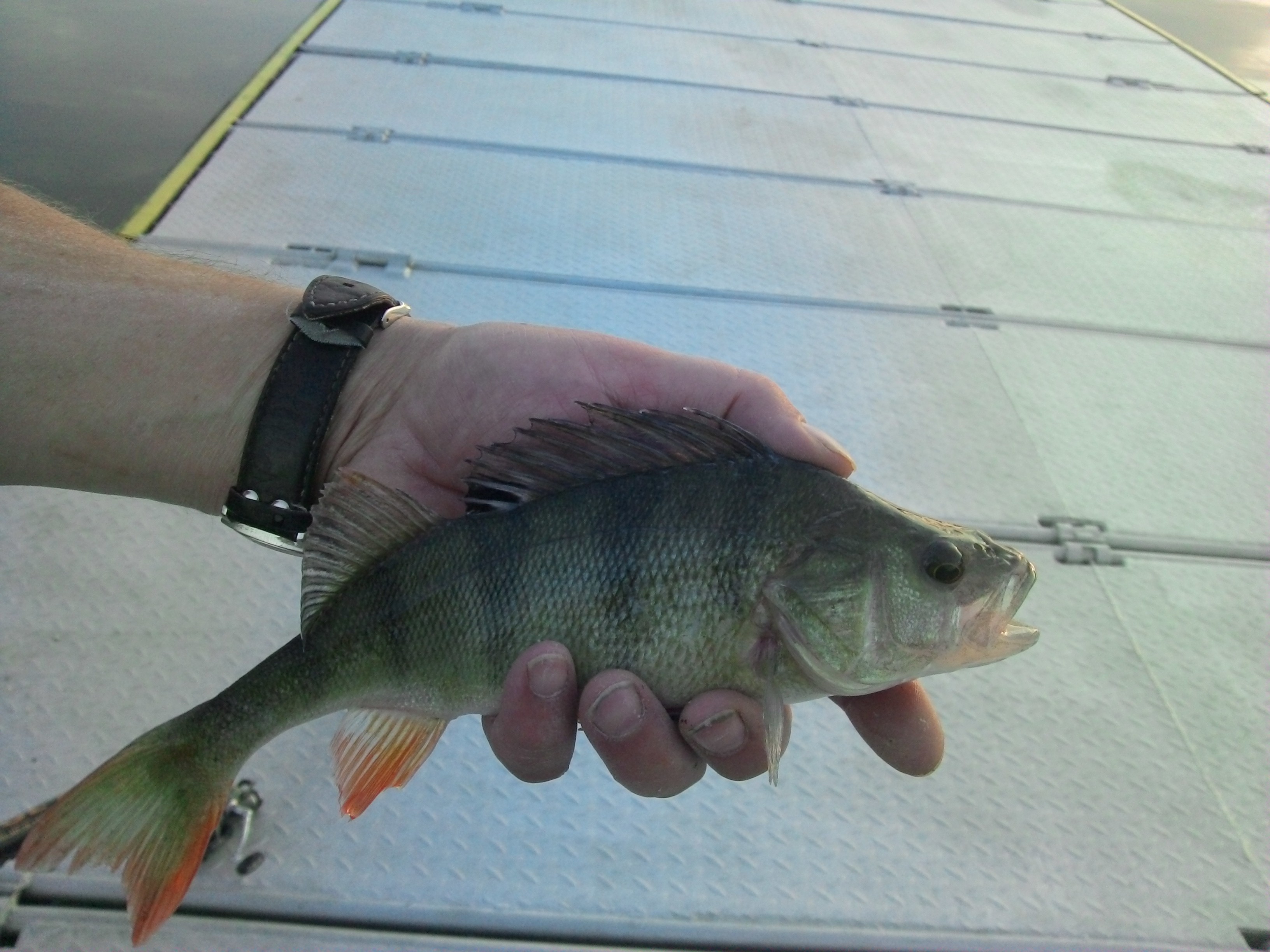 2013-08-29 19.25.12.jpg