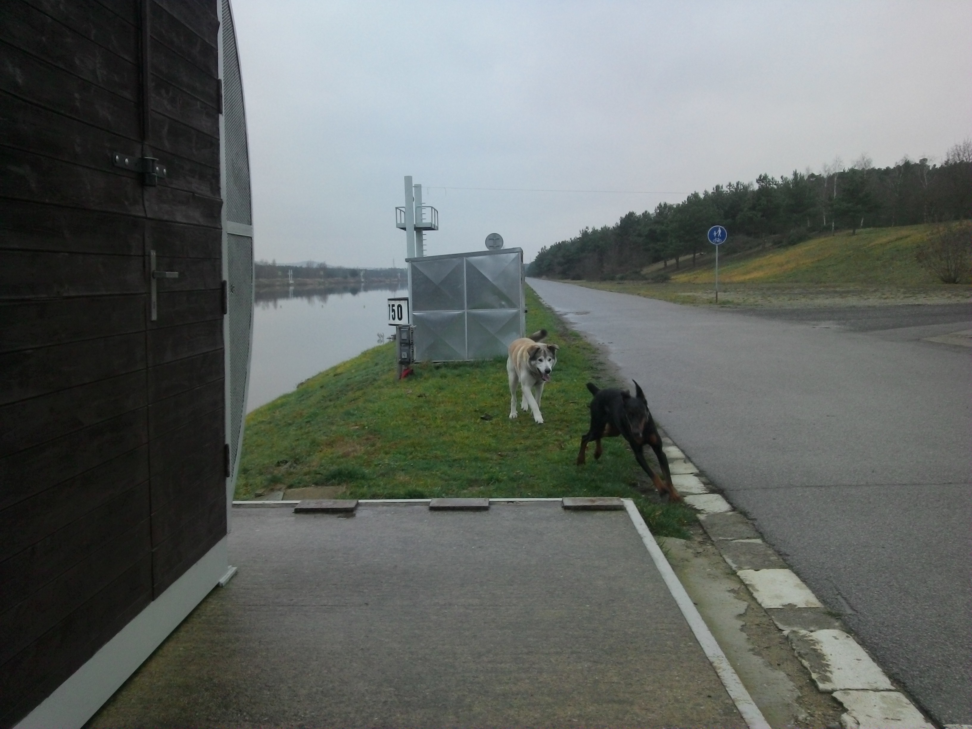 2013-12-14 12.51.17.jpg