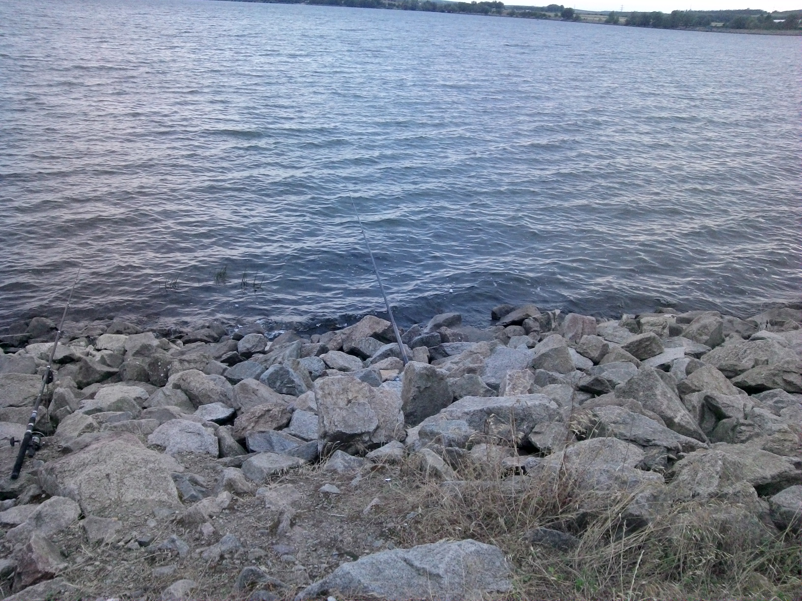 2014-07-10 20.07.33.jpg