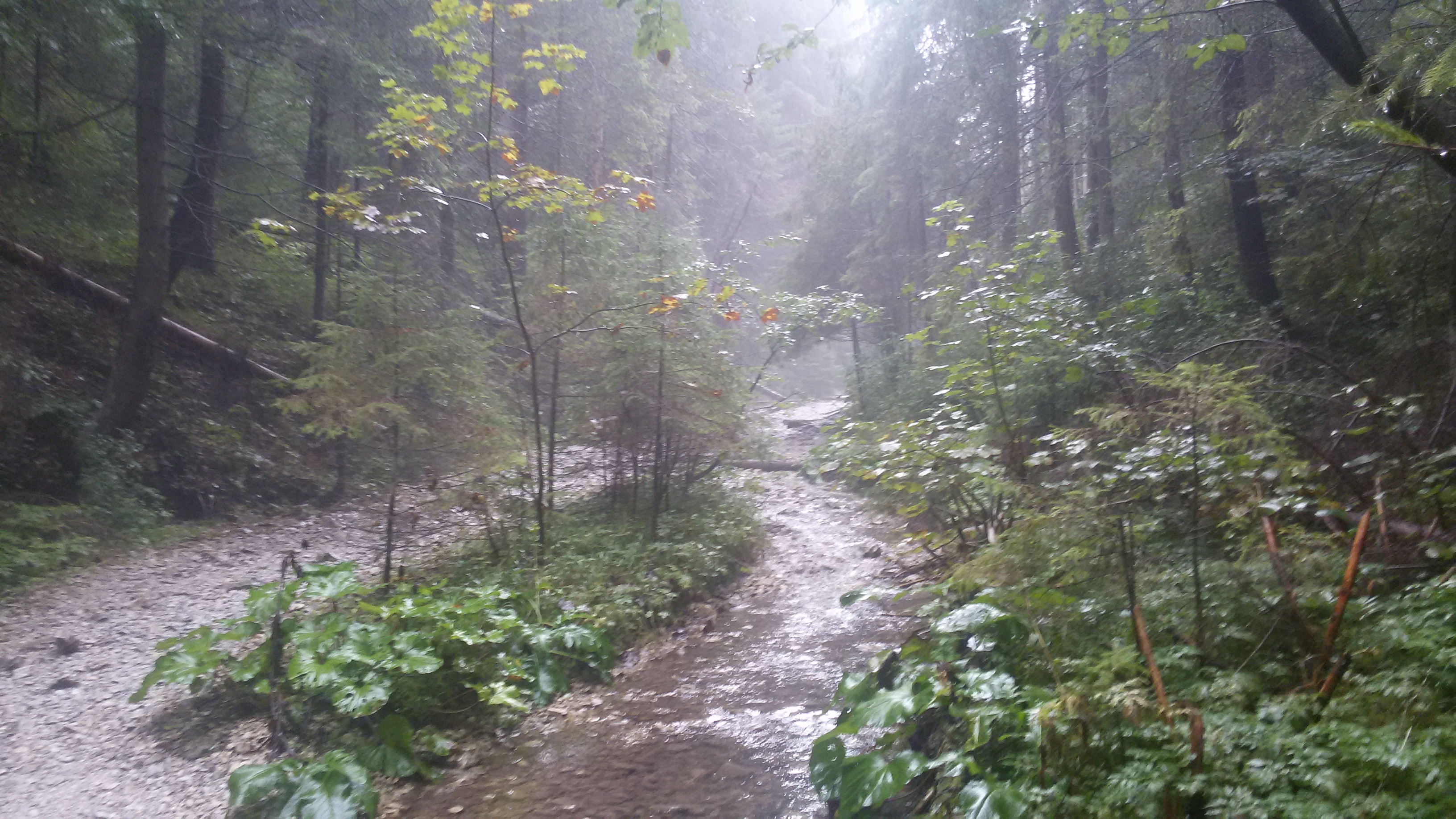 2014-09-14 14.33.27.jpg