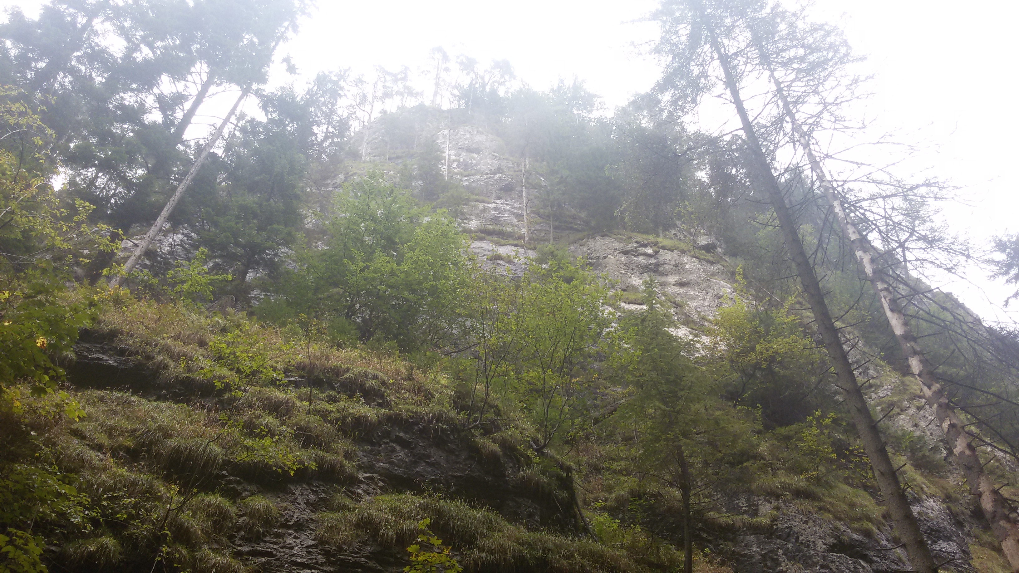 2014-09-14 15.06.49.jpg