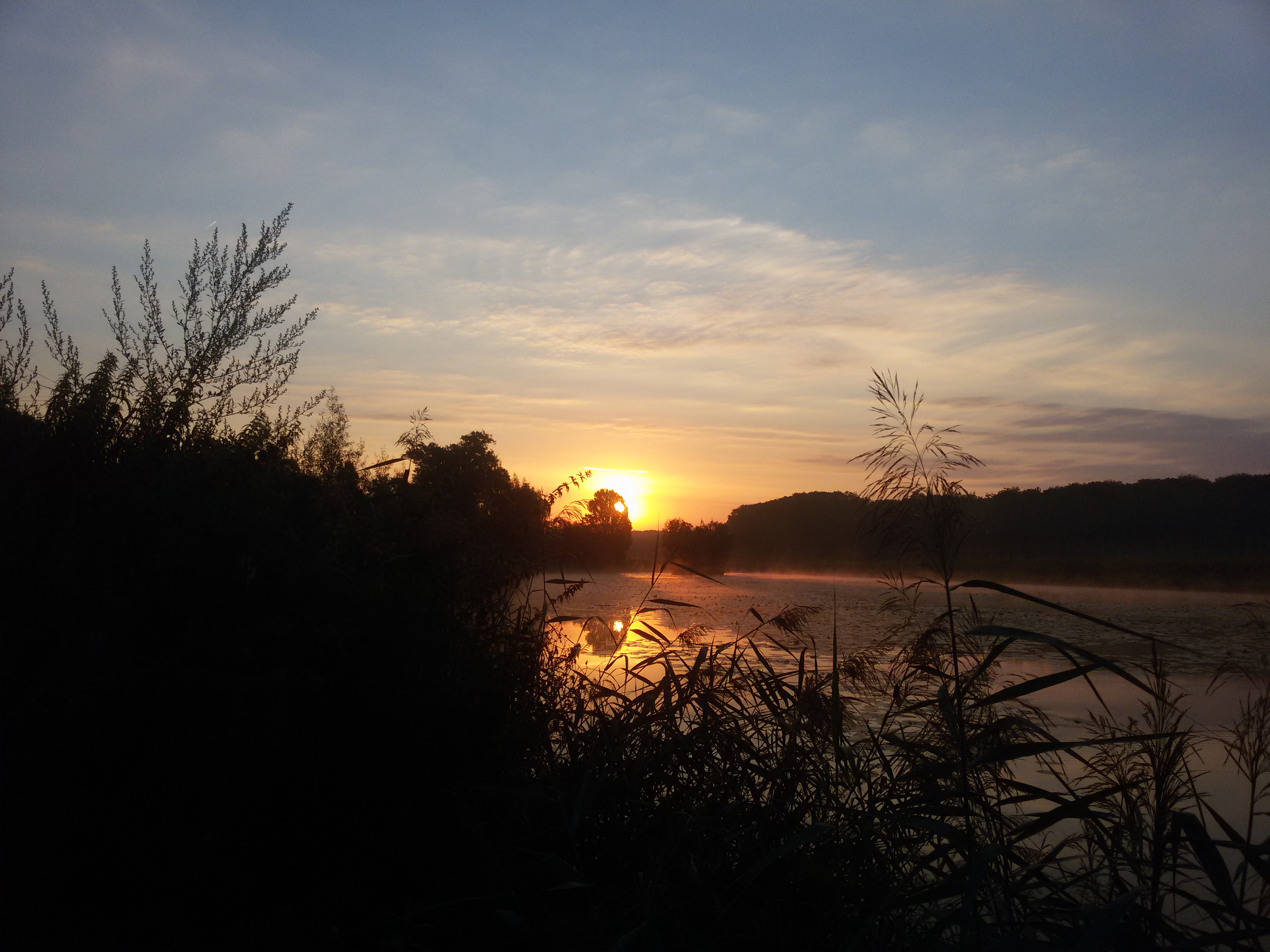 2015-08-22 06.27.02.jpg