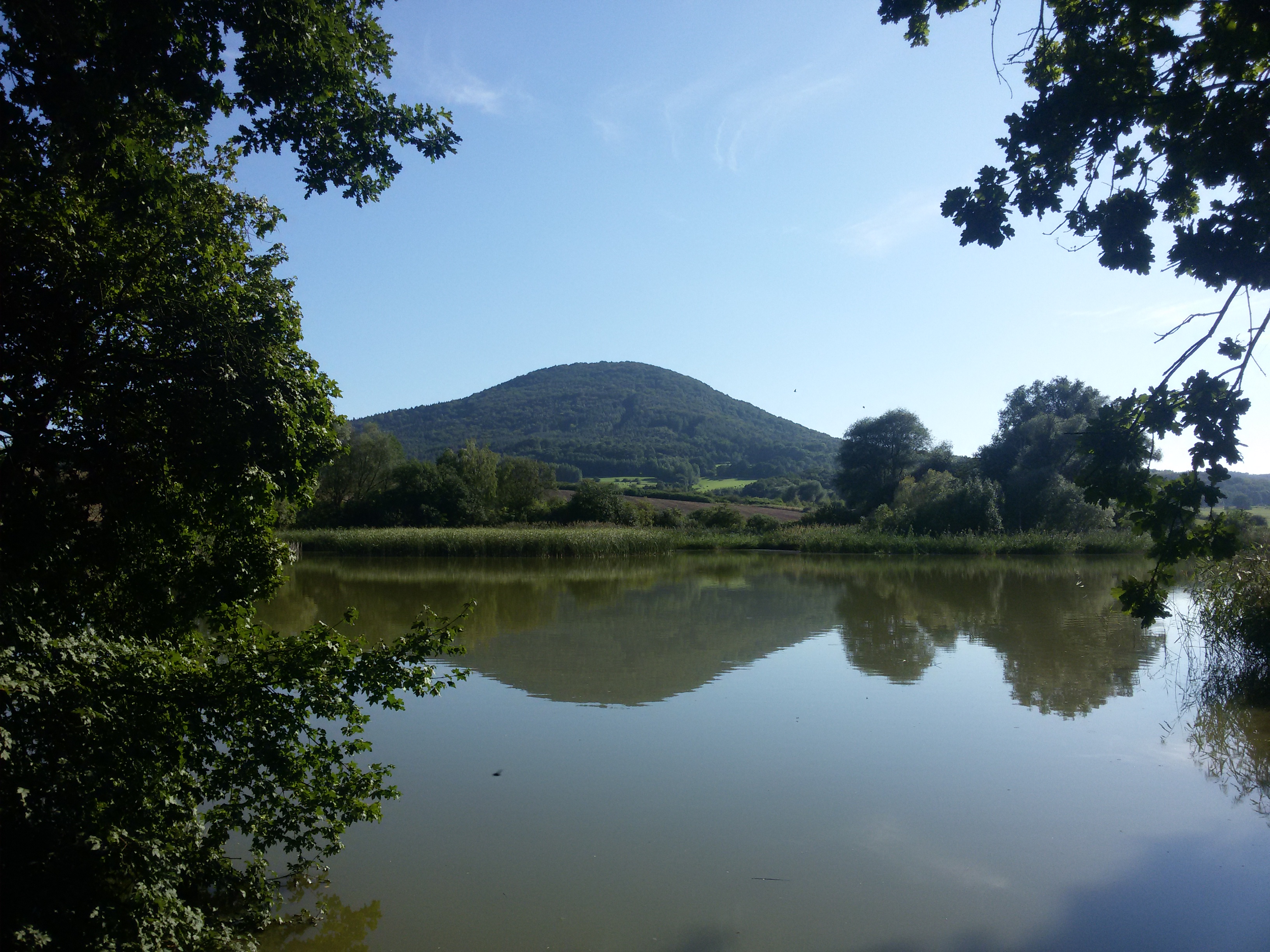 2015-08-29 16.41.49.jpg